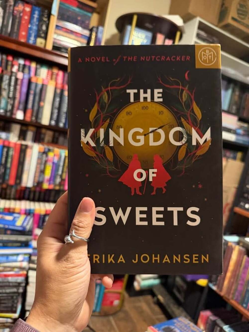 Erika Johansen The Kingdom of Sweets Book
